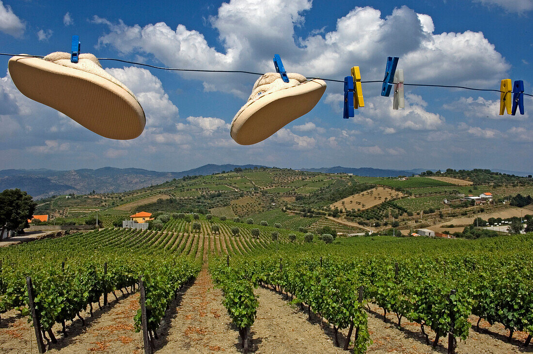 Eine Nahaufnahme einer Wäscheleine mit den Weinbergen des Douro-Tals