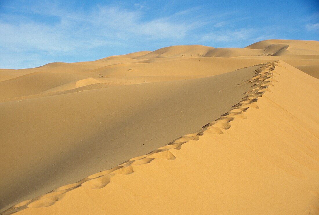 Footprints On Sand Dune