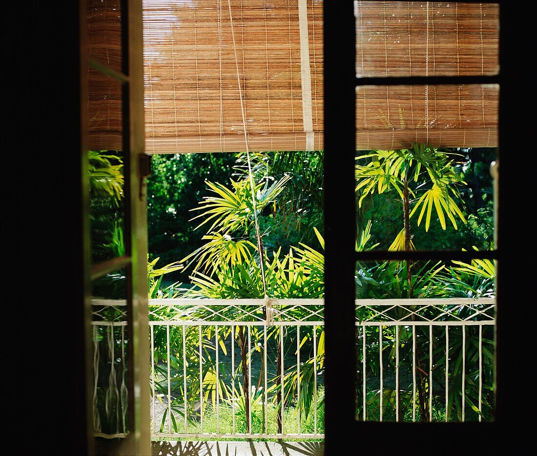 View Out Of Window Towards Vegetation And Balcony