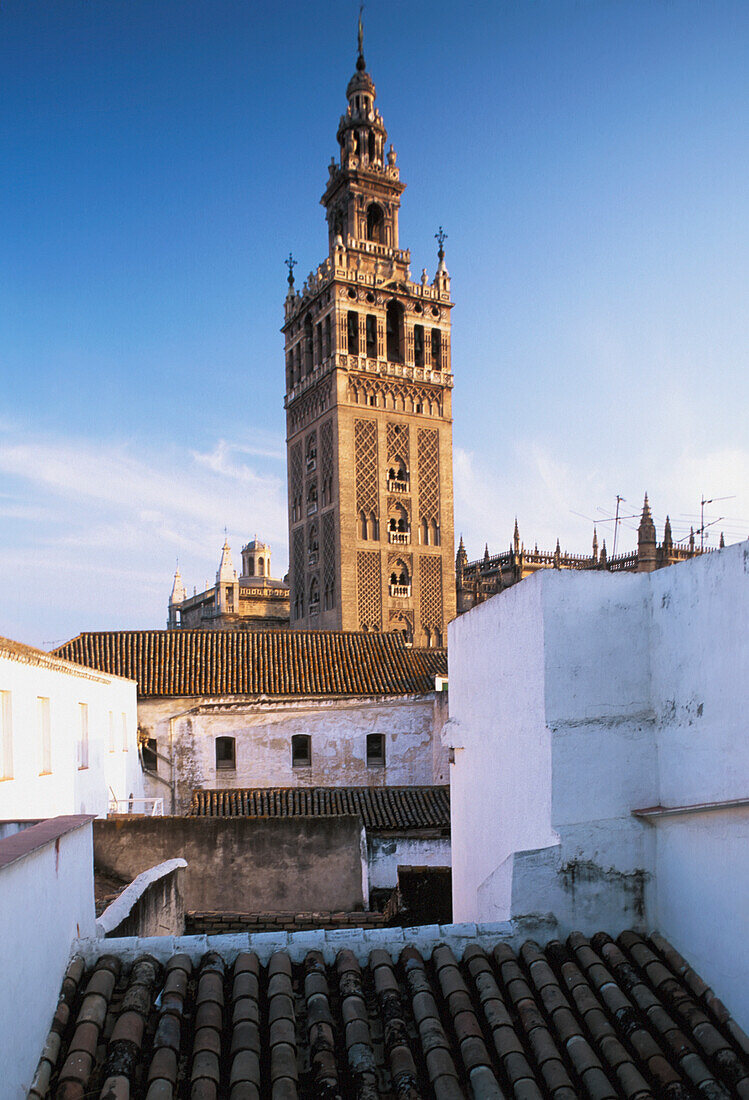 Kathedrale von Sevilla und Dächer