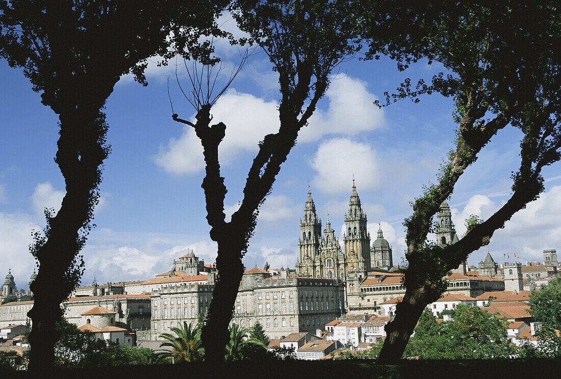 Westfassade der Kathedrale von Santiago vom Alameda-Park auf einem Hügel mit Blick auf die Kathedrale
