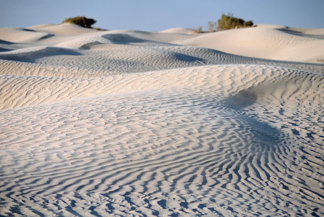 Sand Dunes In Sahara Desert Near Douz