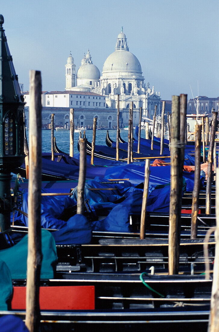 Gondeln und Santa Maria Della Salute