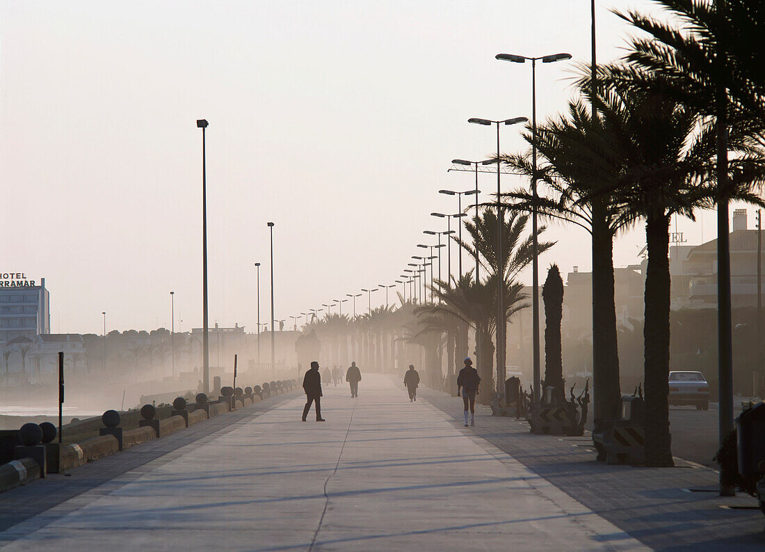 Seafront Promenade In Siteges