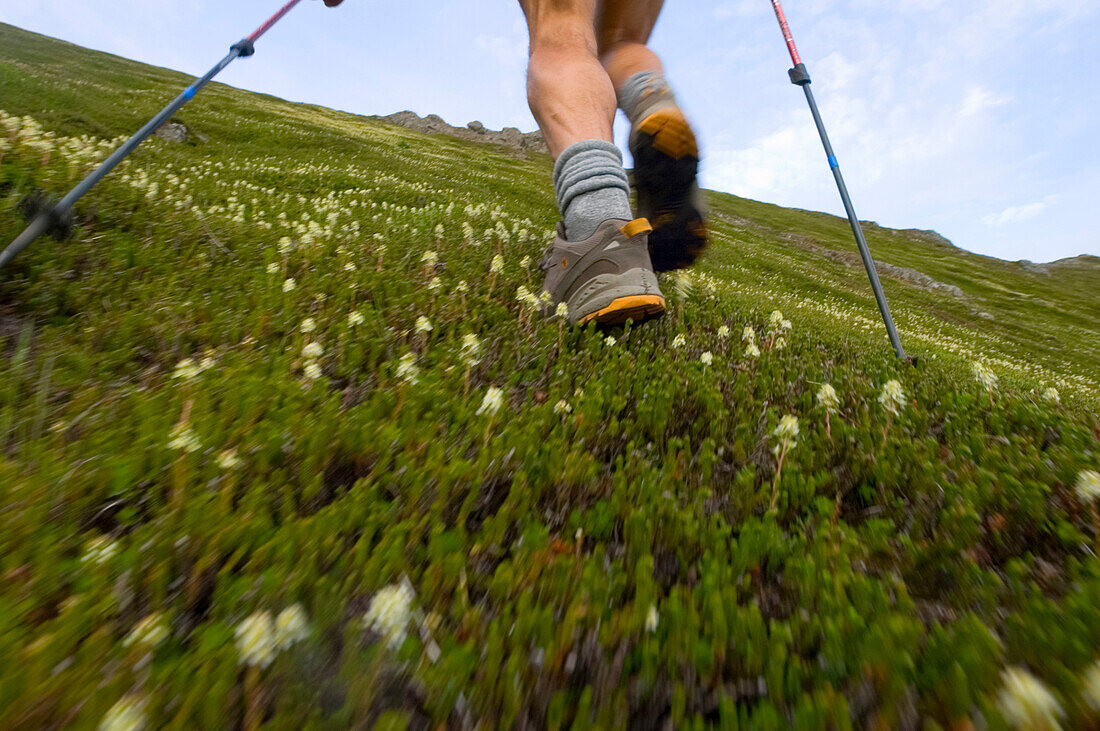 Wanderer läuft bergauf in den Chugach Mountains während einer zerklüfteten 32-Meilen-Verbindungsstrecke der Chugach Front Range Peaks, Süd-Zentral-Alaska, Sommer