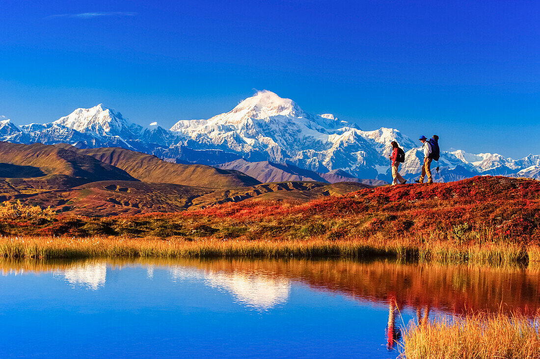 View Of A Couple Hiking In Peters Hills With Mt. Mckinley Reflecting In A Tundra Pond, Denali State Park, Southcentral Alaska, Fall/N