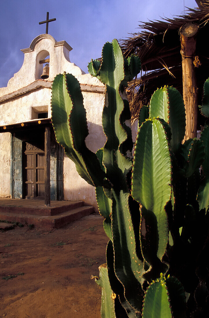 Kaktus und weißgetünchte Kirche in Texas Hollywood