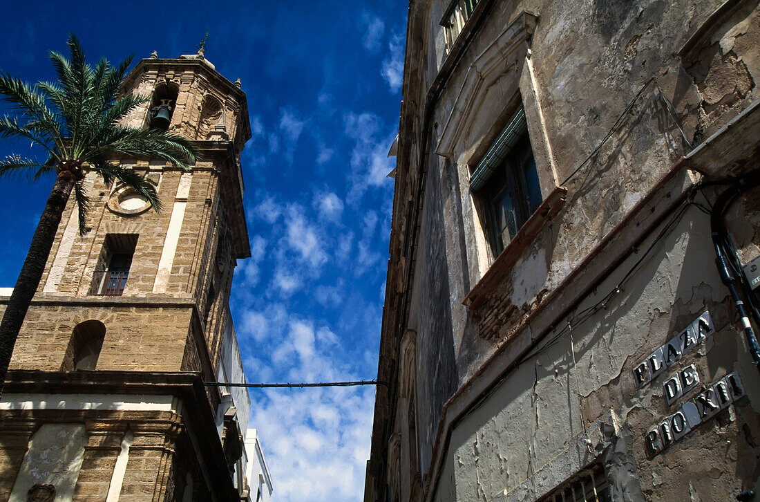 Palme vor der Kirche, tiefer Blickwinkel