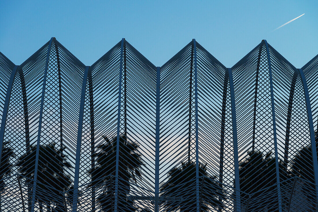 Silhouetten von Palmen im Umbracle in der Stadt der Künste und Wissenschaften in der Abenddämmerung; Valencia, Spanien