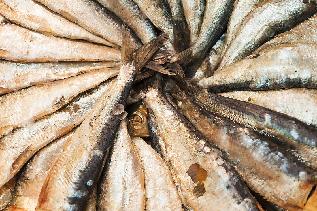 Gesalzener Fisch in der Auslage auf dem Mercado Central; Valencia, Spanien