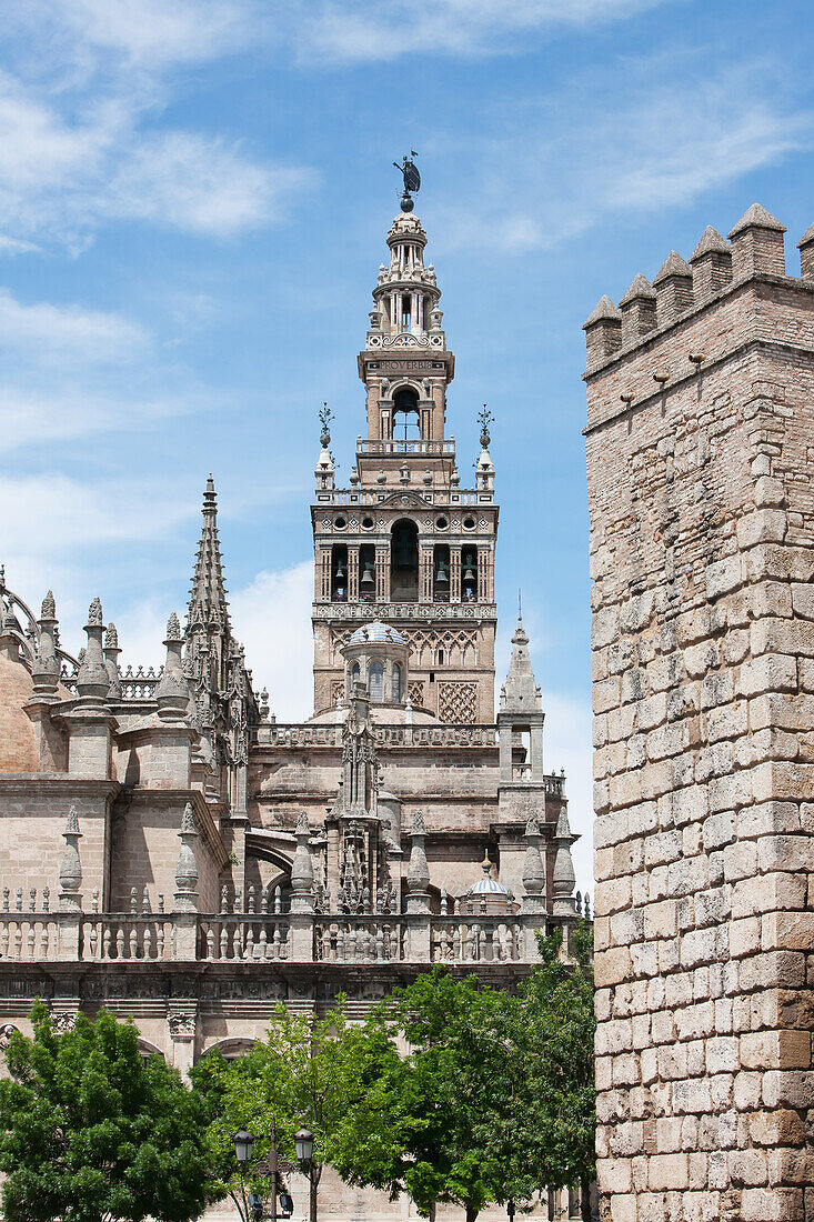 Glockenturm der Kathedrale von Sevilla; Sevilla Andalusien Spanien