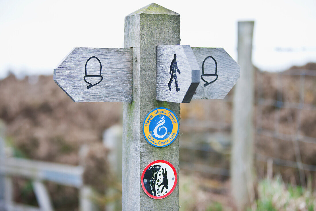 Ein Holzpfosten und Wegweiser für Wanderwege; Wales