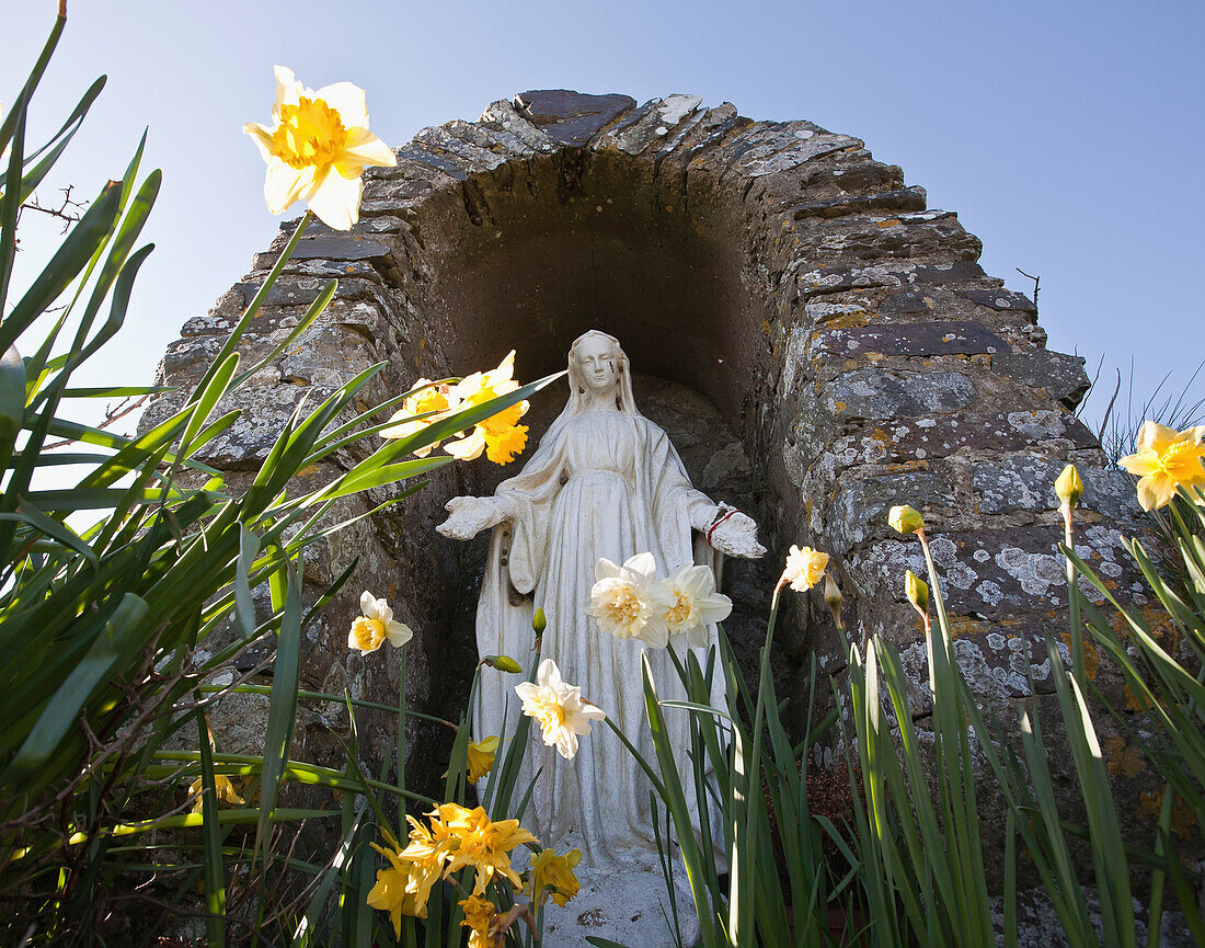 A religious statue inside an arch stone structure and daffodils growing outside