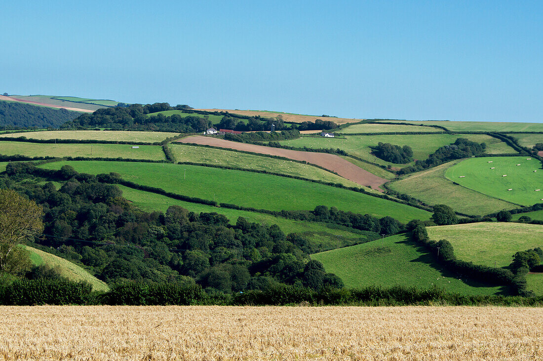 Dart-Tal-Landschaft; Devon, England