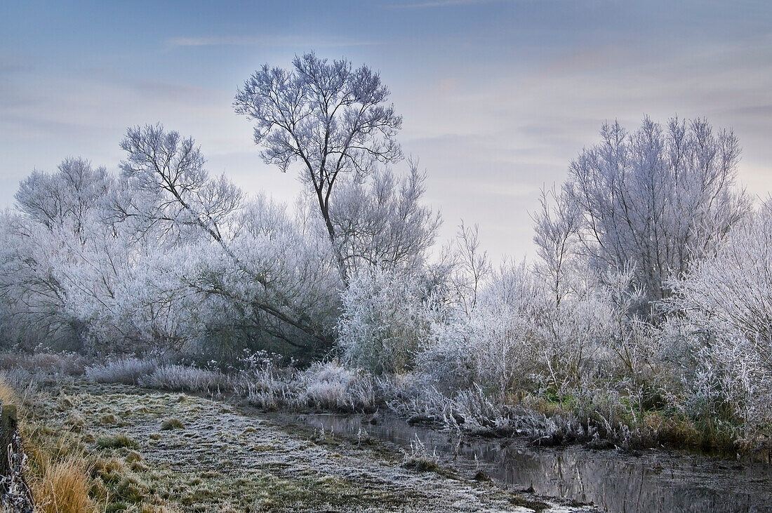 Cotswold Water Park im Winter; Thames Head, England