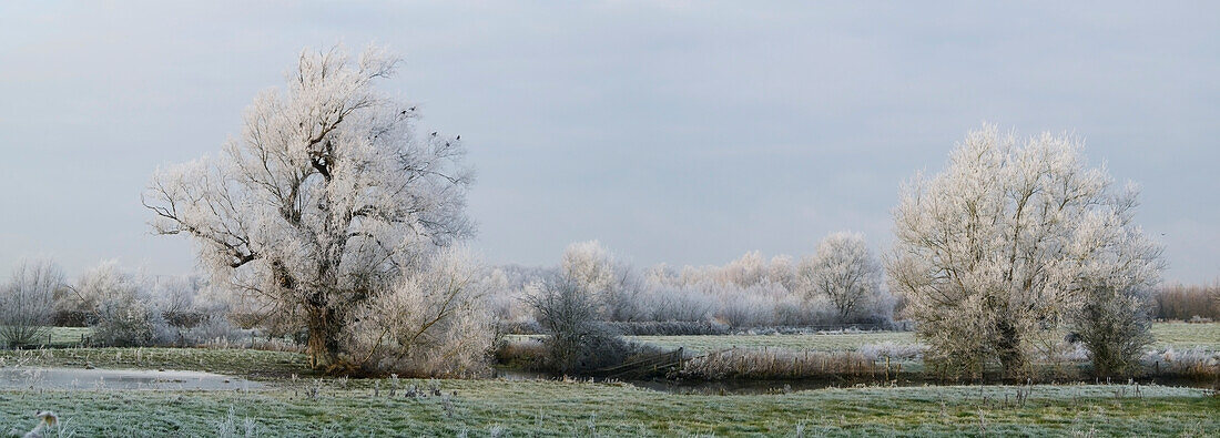 Cotswold Water Park; Thames Head, England