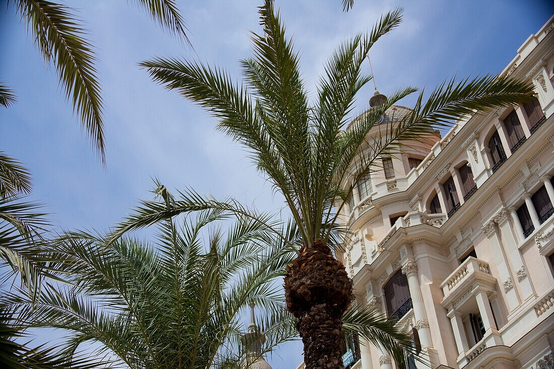 Ein Gebäude in klassischer mediterraner Architektur und Palmen; Alicante, Spanien