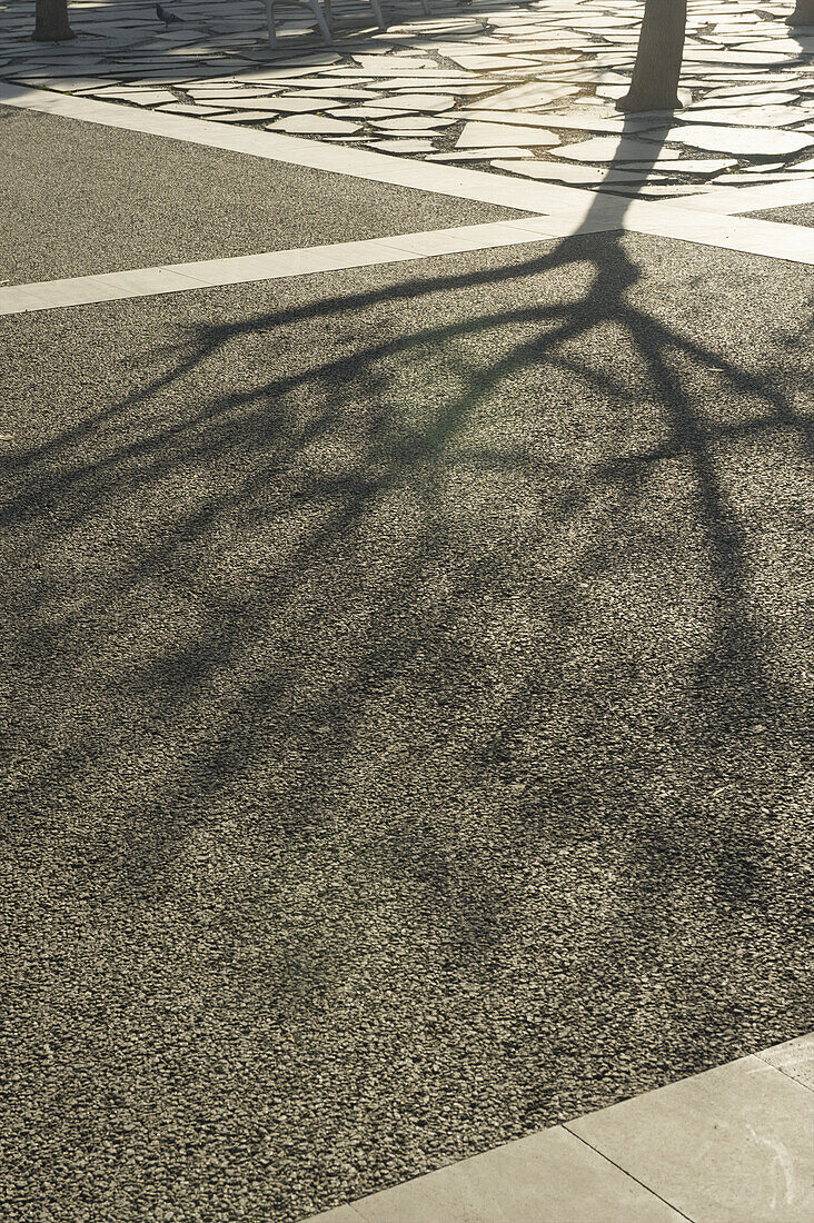 Schatten eines Baumes auf dem Bürgersteig; Barcelona, Spanien