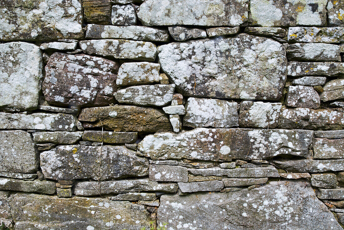 Nahaufnahme einer Steinmauer mit weißen Flecken; Irland