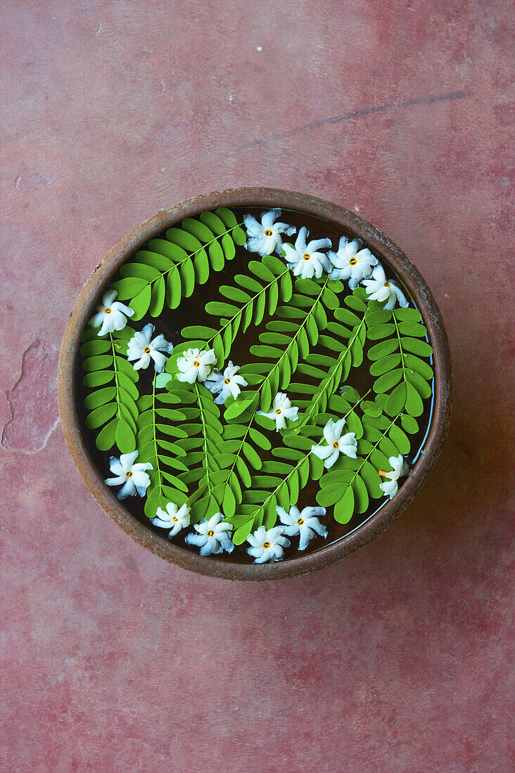 Grüne Blätter und weiße Blumen, die in einer Schale im Wasser schwimmen; Ulpotha, Embogama, Sri Lanka