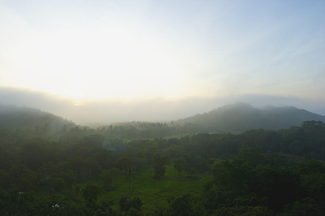 Sonnenlicht leuchtet über den Horizont und eine üppige Landschaft aus Gras und Bäumen; Ulpotha, Embogama, Sri Lanka