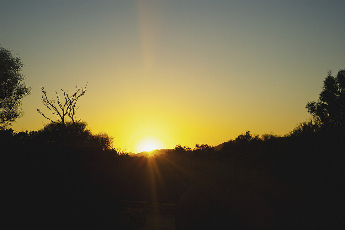 Goldener Sonnenuntergang über der scherenschnittartigen Landschaft; Sardinien, Italien