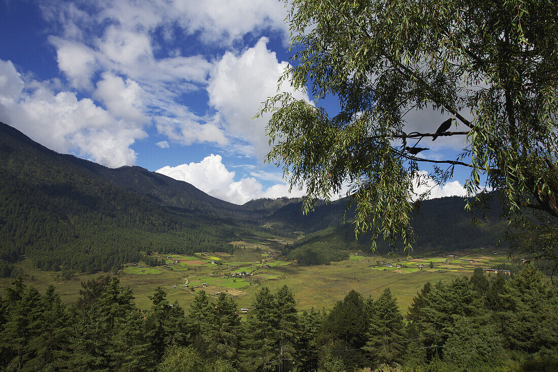 Gangteng-Kloster; Phobjika-Tal, Bhutan