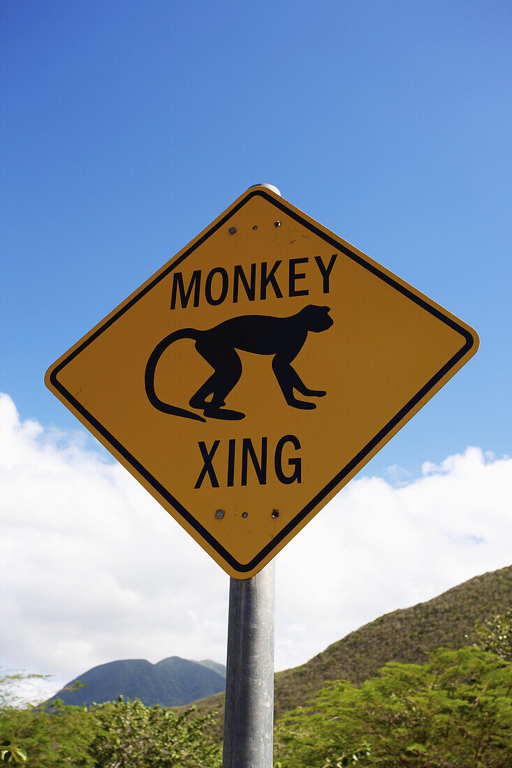 Monkey Crossing Sign; Nesbit Beach, Nevis
