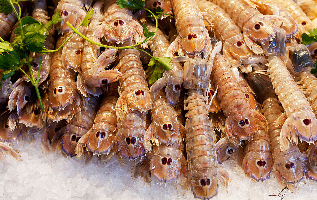 Frische Meeresfrüchte zum Verkauf auf dem Rialto-Markt; Venedig, Italien