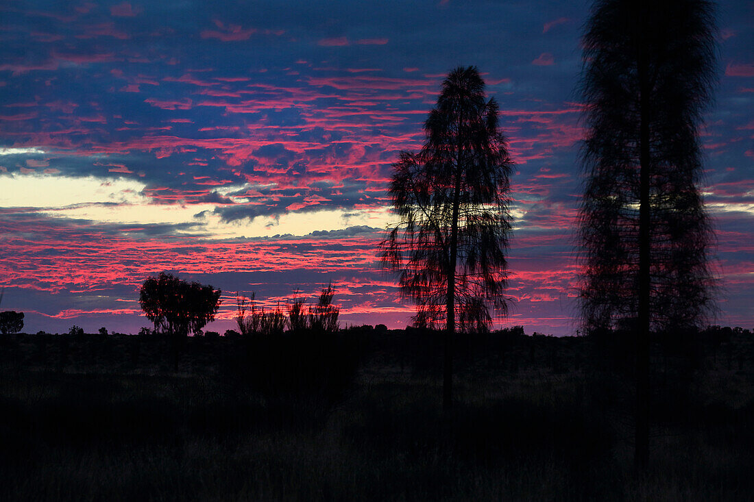 Sonnenuntergang in der Nähe des Uluru, früher bekannt als Ayers Rock; Nordterritorium, Australien