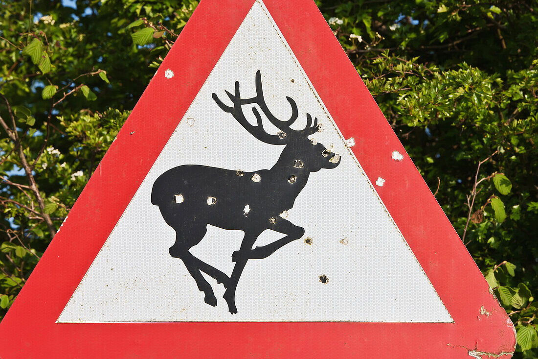 Wildwarnschild mit Löchern, auf das geschossen wurde; Wiltshire, England