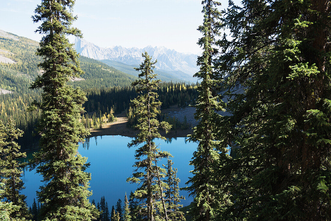 A Tranquil Blue Lake Surrounded By Forest And The Rocky Mountains In Banff National Park; Alberta, Canada