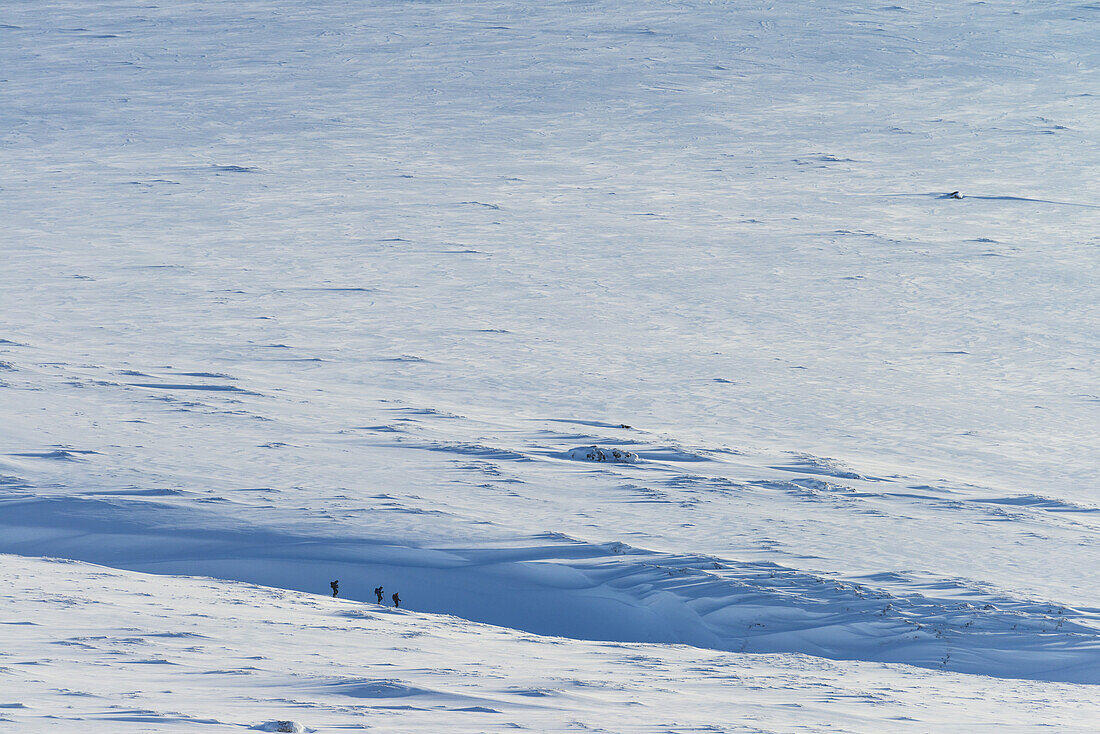 Menschen, die durch ein Schneefeld vom Beinn A Chlachair in der Nähe von Laggan absteigen; Schottland