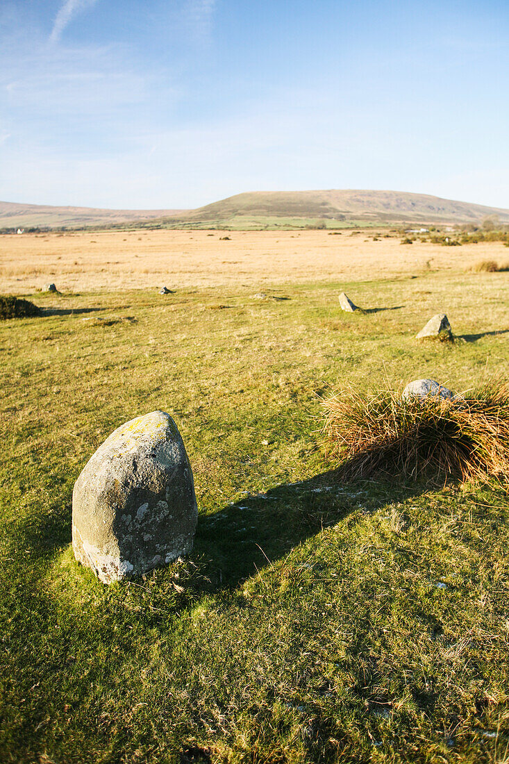16 blaue Steine bilden einen eiförmigen Ring am Steinkreis von Gors Fawr in einem Feld nahe dem Dorf Mynachlog-Ddu; Pembrokeshire, Wales