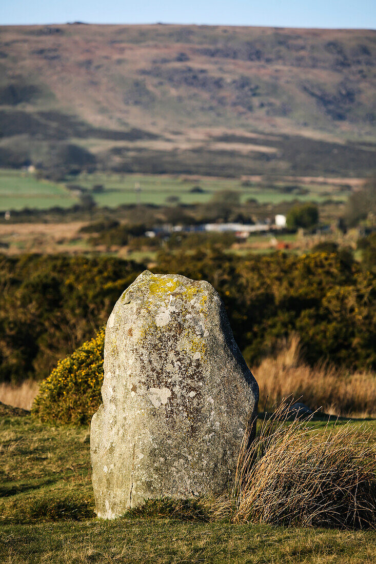 Träumender Stein am Rande von 16 blauen Steinen, die einen eiförmigen Ring bilden, am Steinkreis von Gors Fawr in einem Feld nahe dem Dorf Mynachlog-Ddu; Pembrokeshire, Wales