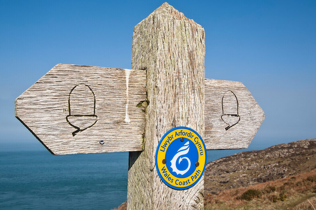 Wegweiser in der Nähe von Strumble Head auf dem Pembrokeshire-Küstenpfad; Pembrokeshire, Wales