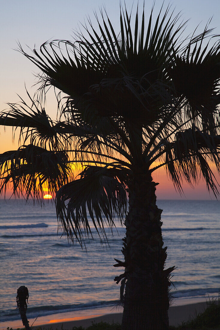 Sunset Over The Ocean, Near Zahora; Andalucia, Spain