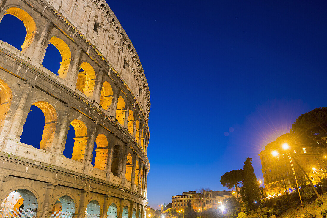 Colosseum; Rome, Lazio, Italy