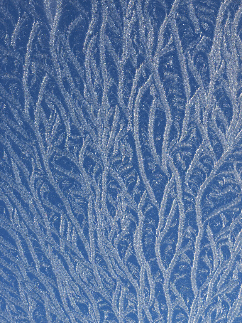 Frost am Fenster; England