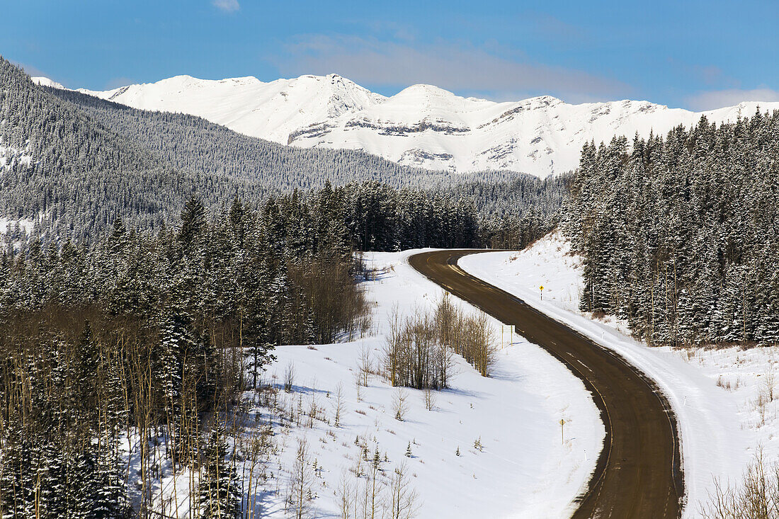 Eine windige hügelige Straße im Winter mit schneebedeckten Hügeln, Bäumen und Bergen mit blauem Himmel; Alberta, Kanada