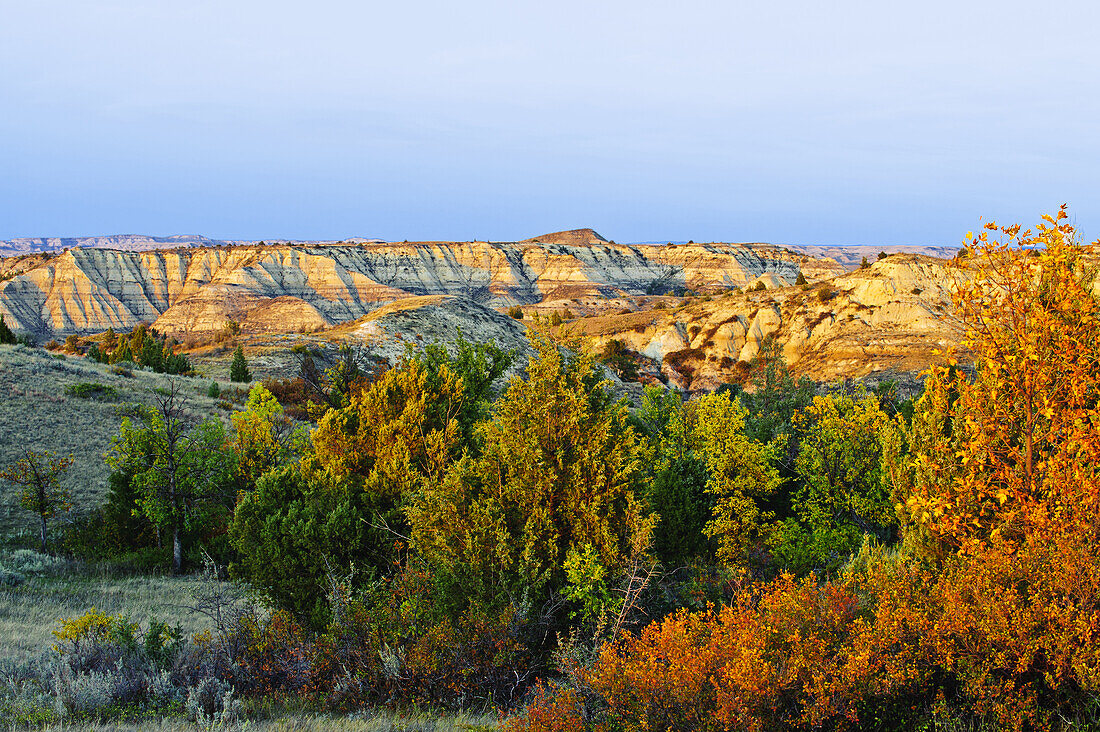 Wacholder und Canyons, Little Missouri Grasslands; North Dakota, Vereinigte Staaten Von Amerika