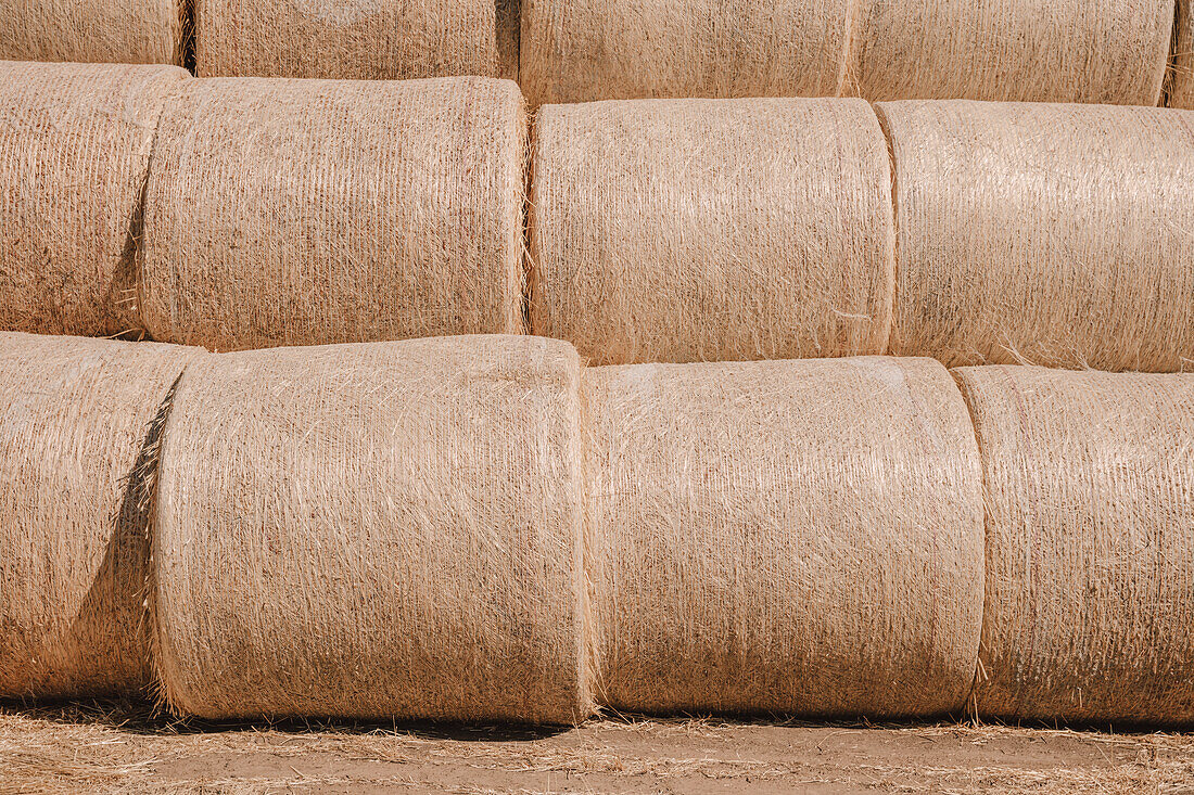 Stacked wrapped round hay bales in a field after harvest. 