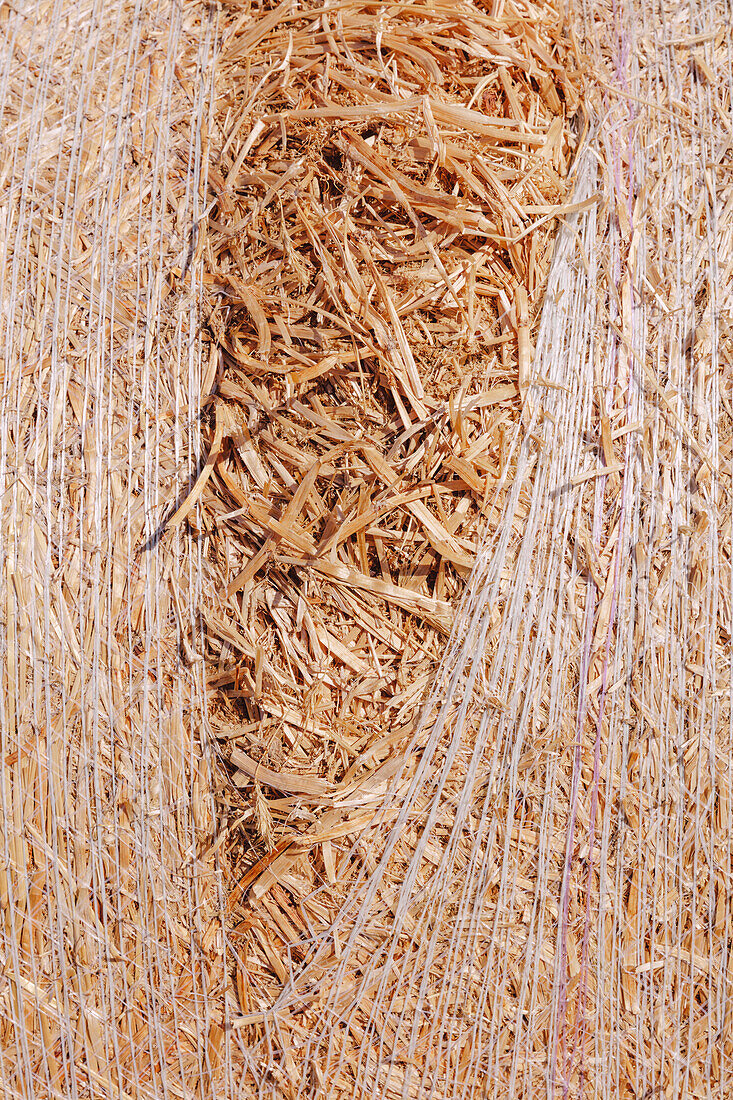 Stacked wrapped round hay bales in a field after harvest. 