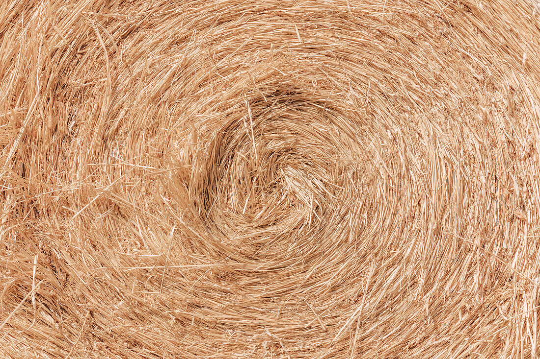 Stacked wrapped round hay bales in a field after harvest. 