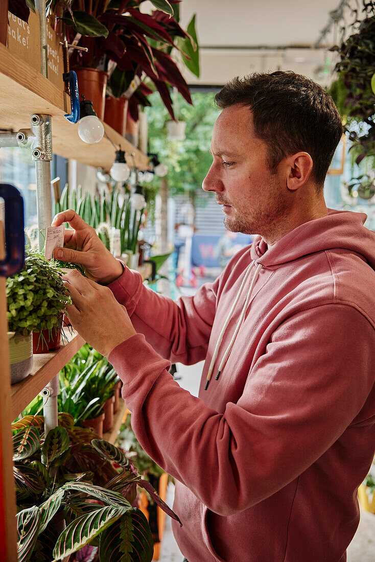 Mann pflegt Pflanzen in einem Blumenladen
