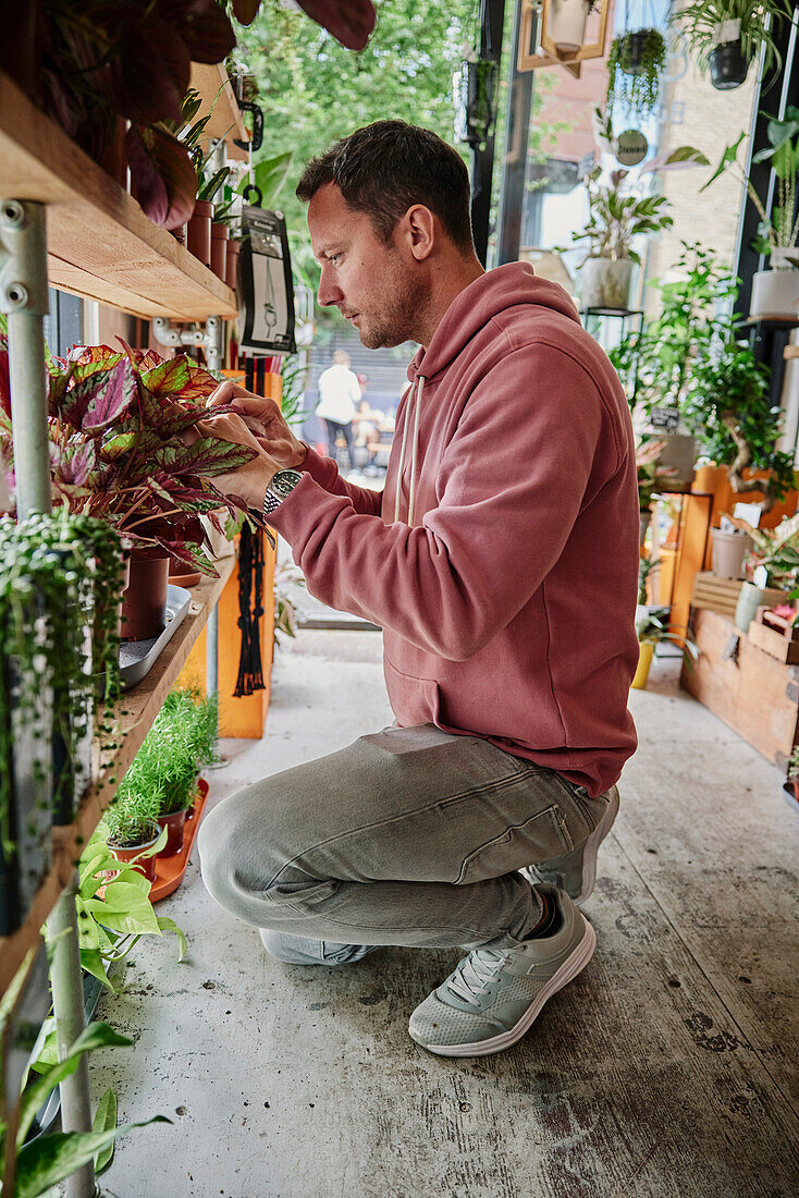 Mann, der sich um Pflanzen in einem Blumenladen kümmert