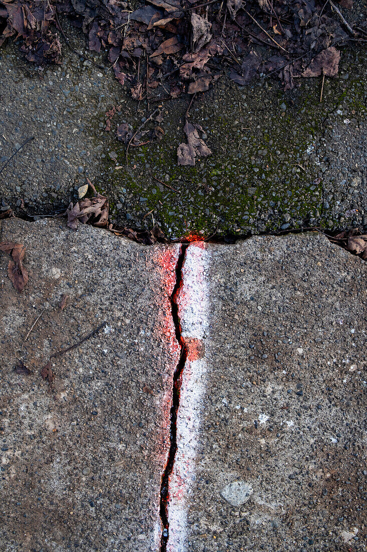 A crack between flagstones painted with a white line, on a concrete sidewalk surface. 