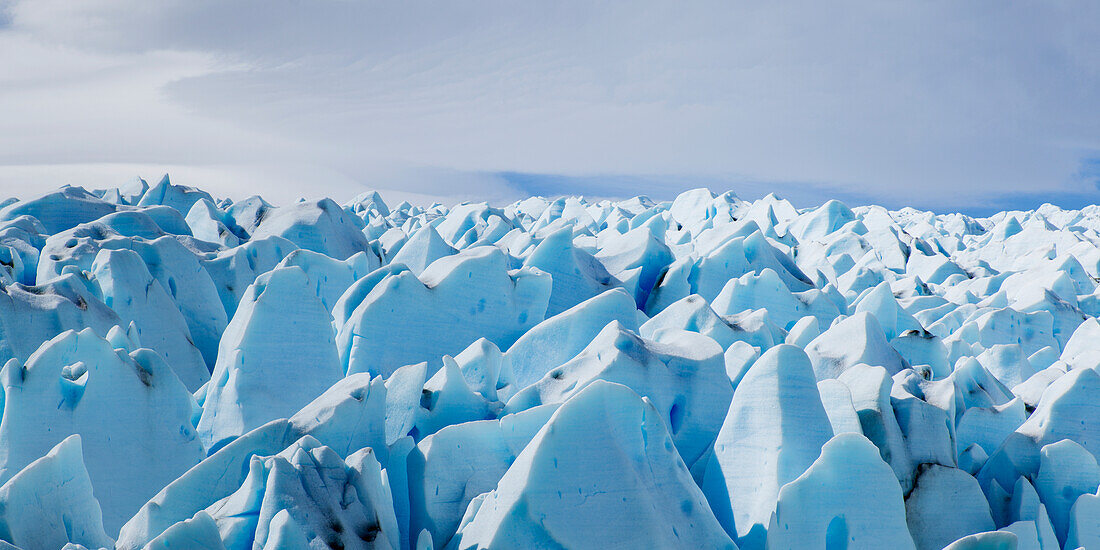 Grey Glacier, Torres Del Paine National Park; Torres Del Paine, Magallanes And Antartica Chilena Region, Chile