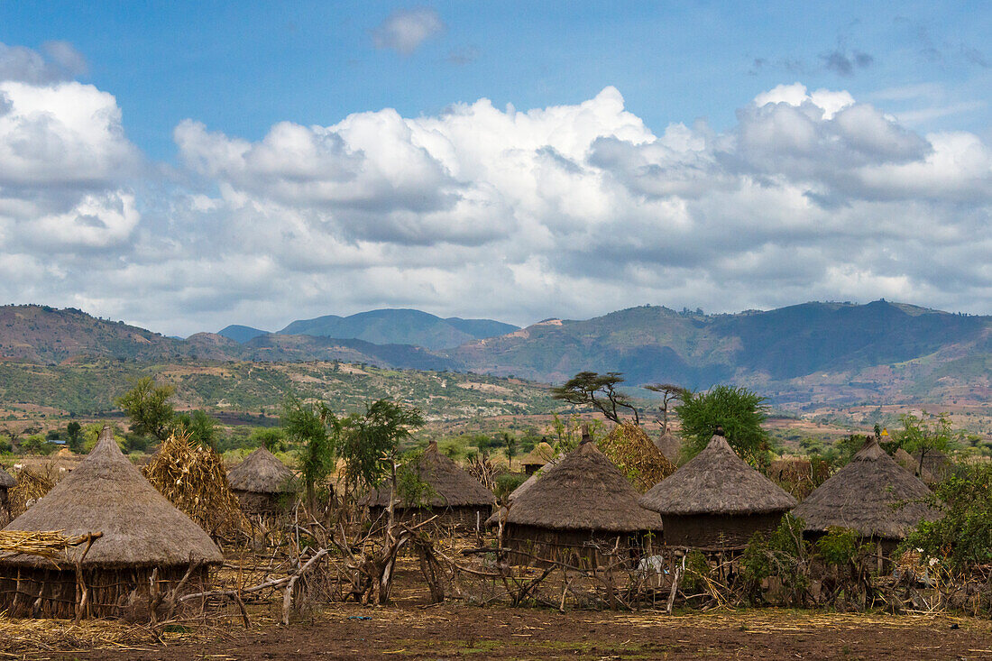 Traditional houses with thatched roof, Konso, Ethiopia