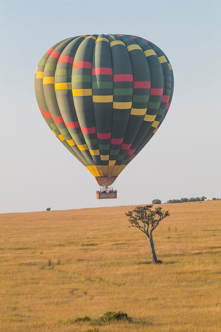 Africa, Kenya, Masai Mara National Reserve. Hot air balloon over savannah.